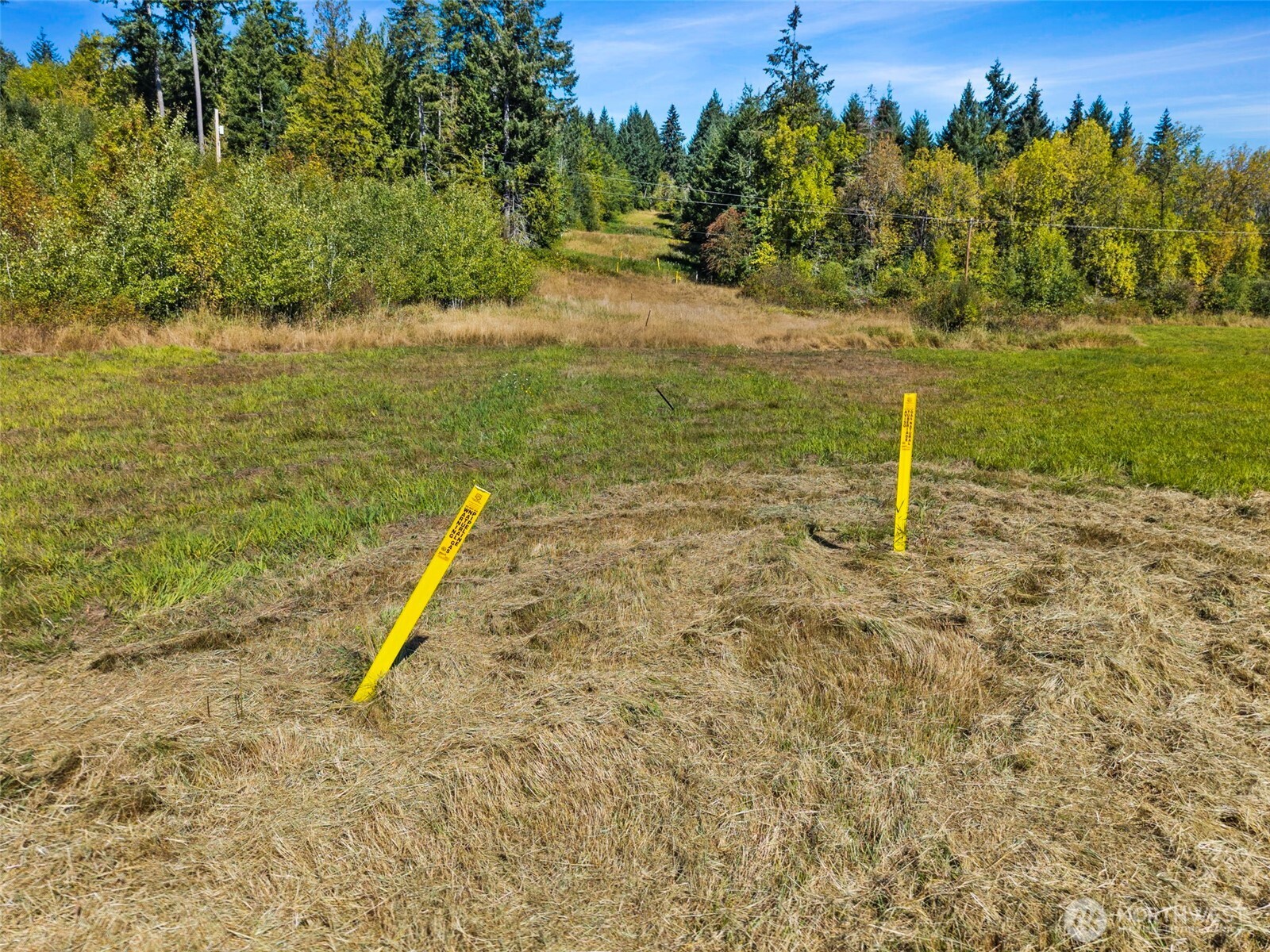 165 Taylor Road South Chehalis, WA 98532 - Photo 14 of 24 Gallery Image 14