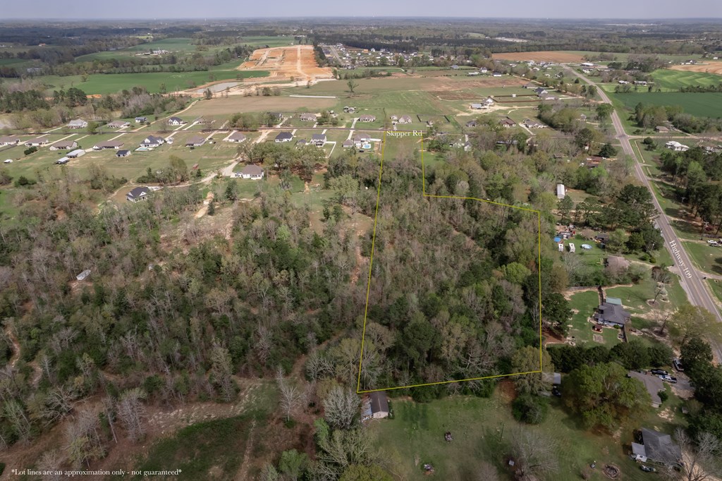 0 Skipper Road Dothan, AL 36301 - Photo 4 of 19