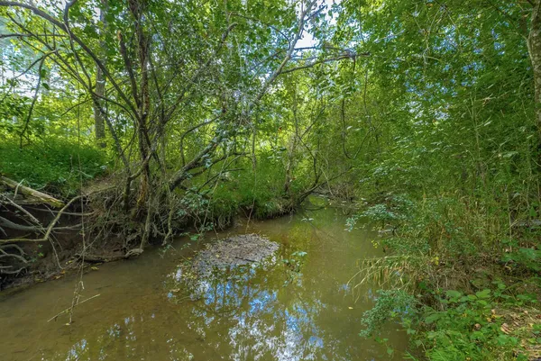 $3,995,000 | 40 Blessed Way, Rock Spring, GA 30739