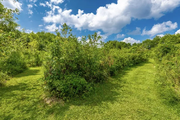 $3,995,000 | 40 Blessed Way, Rock Spring, GA 30739