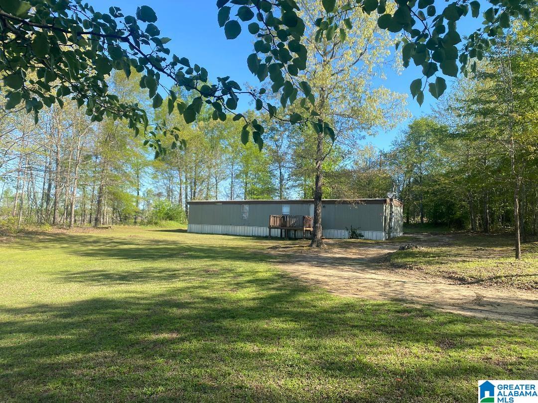 3331 Bird Farm Road Jasper, AL 35503 - Photo 4 of 16