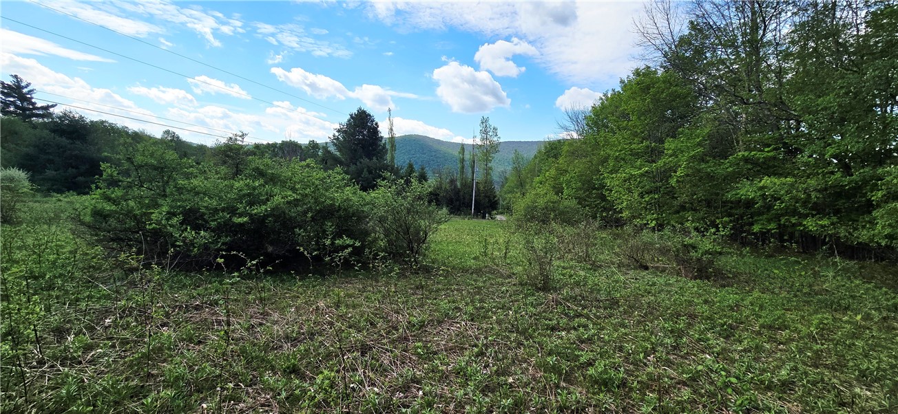 Adams Hill Road Hobart, NY 13788 - Photo 10 of 14 SOUTHEASTERLY VIEW WITH MOUNTAIN IN DISTANCE