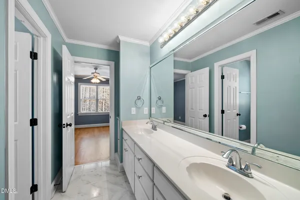 a view of a park with large trees