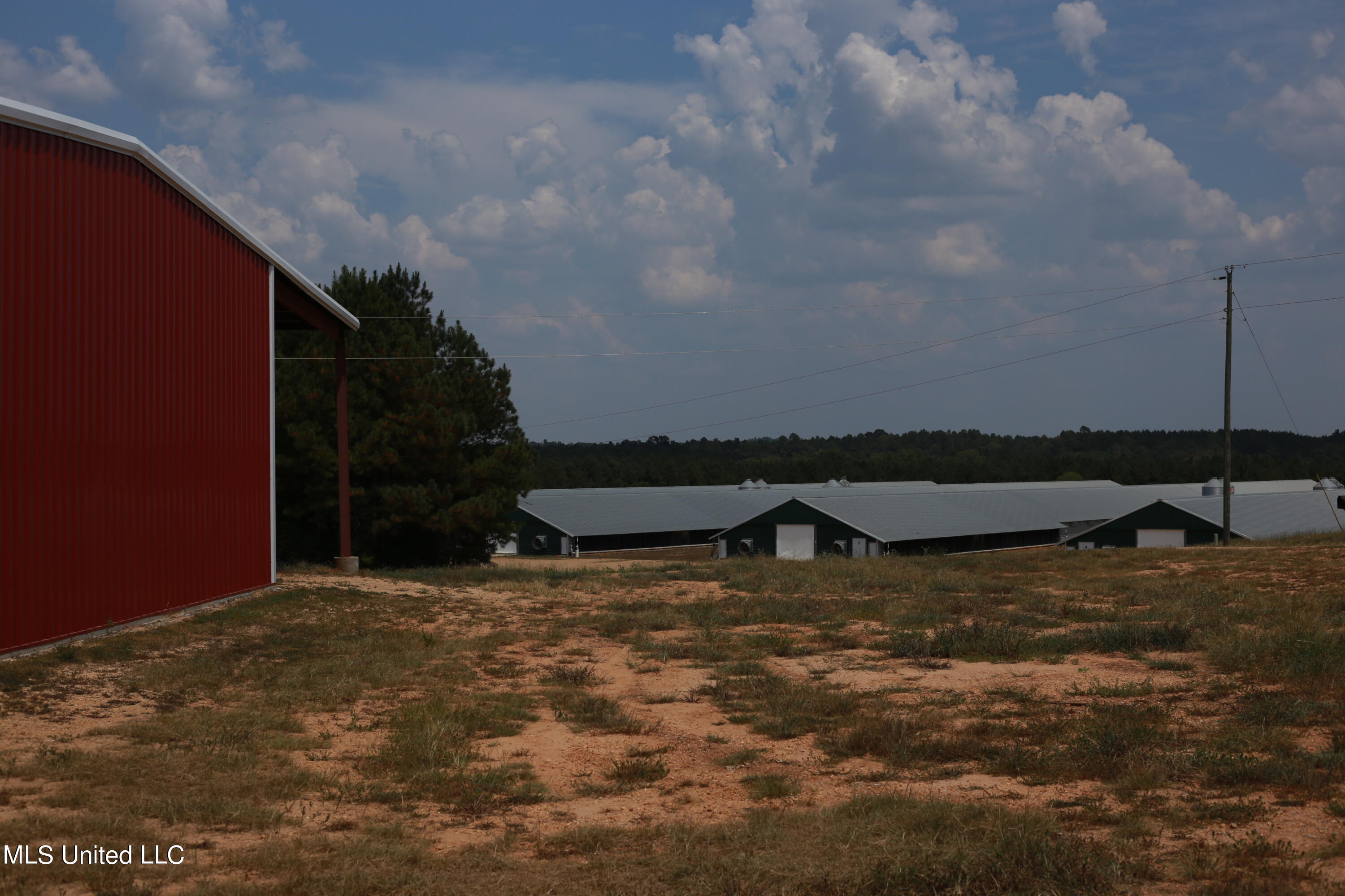 700 Oak Grove Road Mendenhall, MS 39114 - Photo 27 of 37 IMG_5739