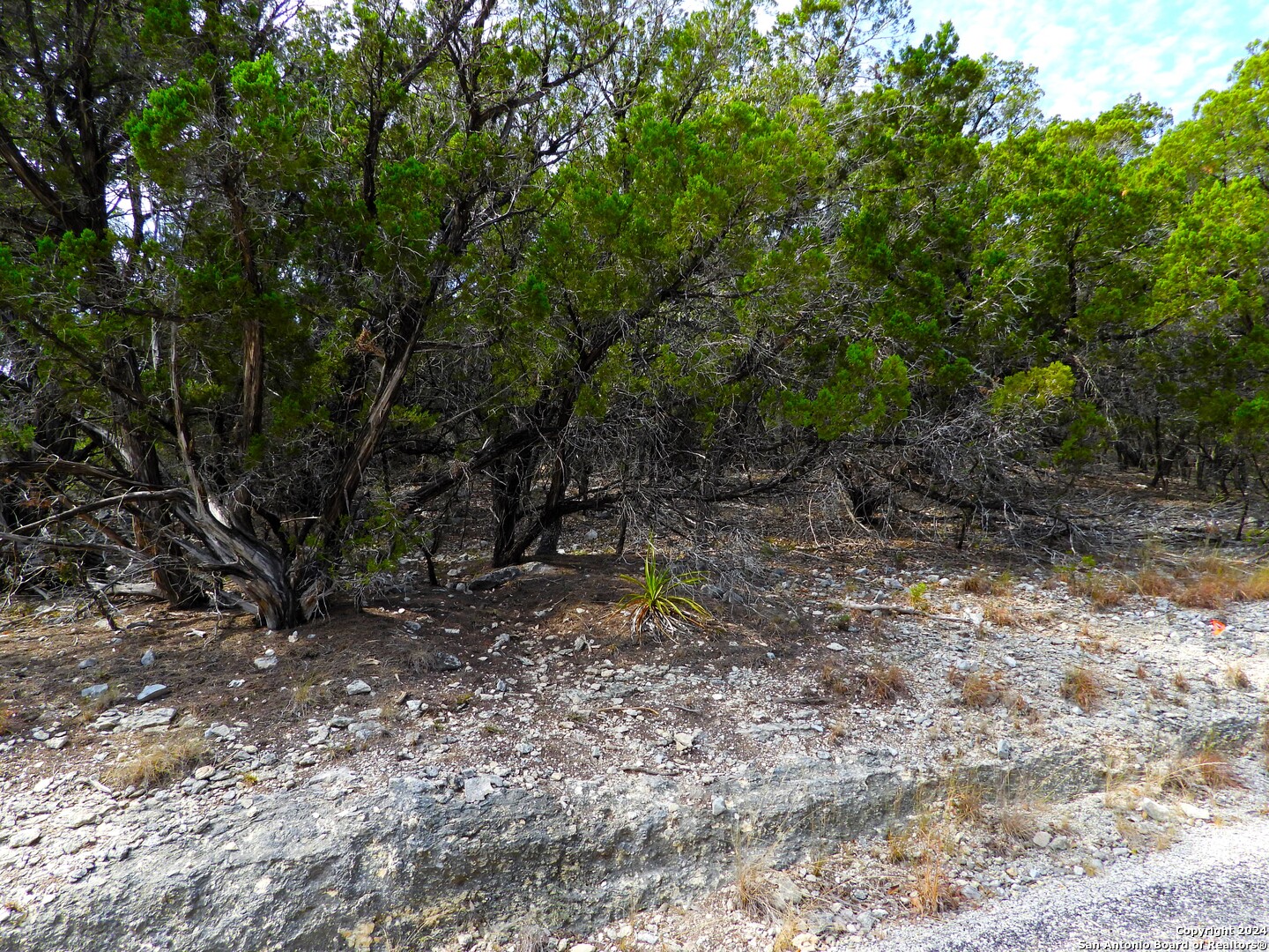 Tbd Simmons Road Lakehills, TX 78063 - Photo 12 of 22 a backyard of a house with lots of green space