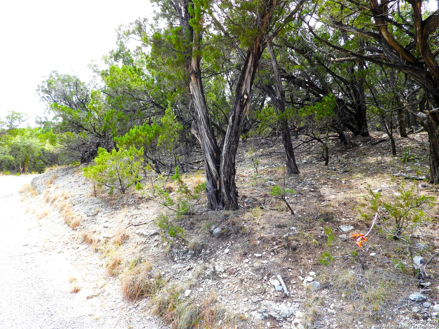Tbd Simmons Road Lakehills, TX 78063 - Photo 13 of 22 a view of a trees with a tree