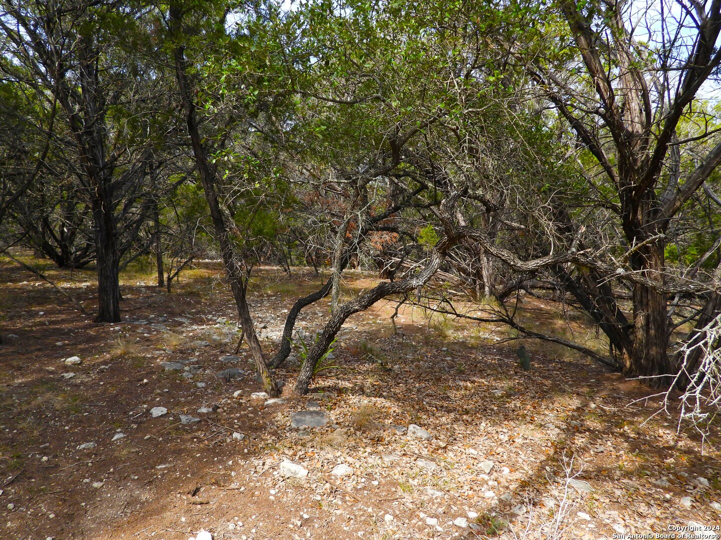 Tbd Simmons Road Lakehills, TX 78063 - Photo 14 of 22 a view of outdoor space with trees