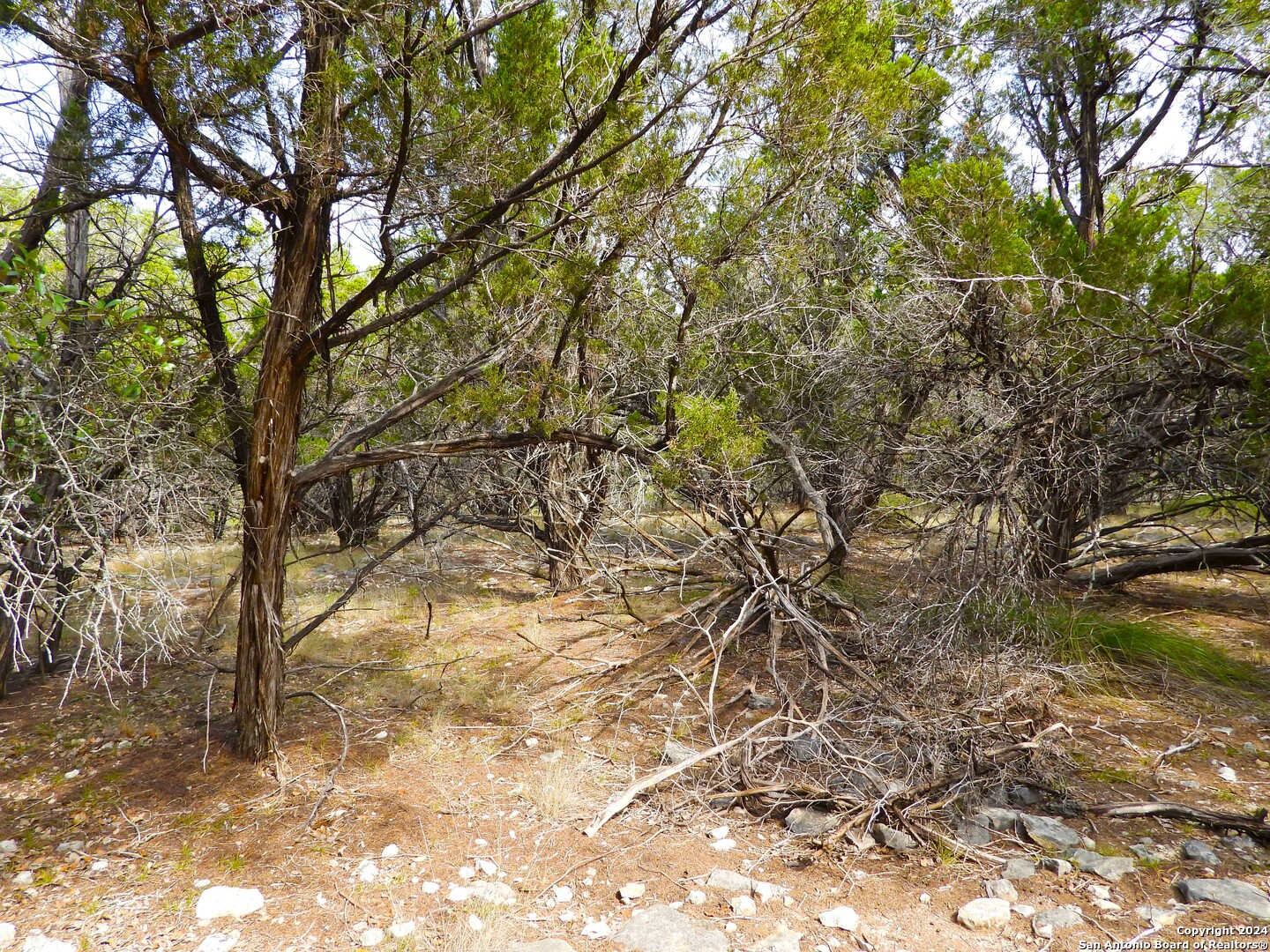 Tbd Simmons Road Lakehills, TX 78063 - Photo 15 of 22 a view of a yard with a tree