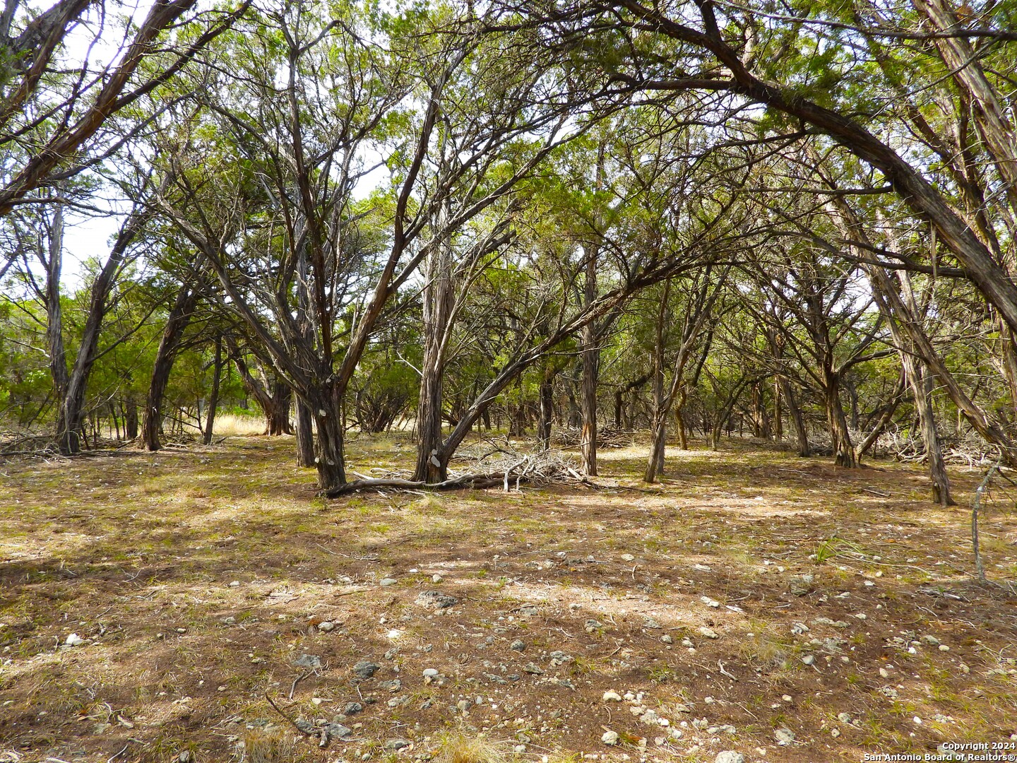 Tbd Simmons Road Lakehills, TX 78063 - Photo 16 of 22 a view of a yard with a trees