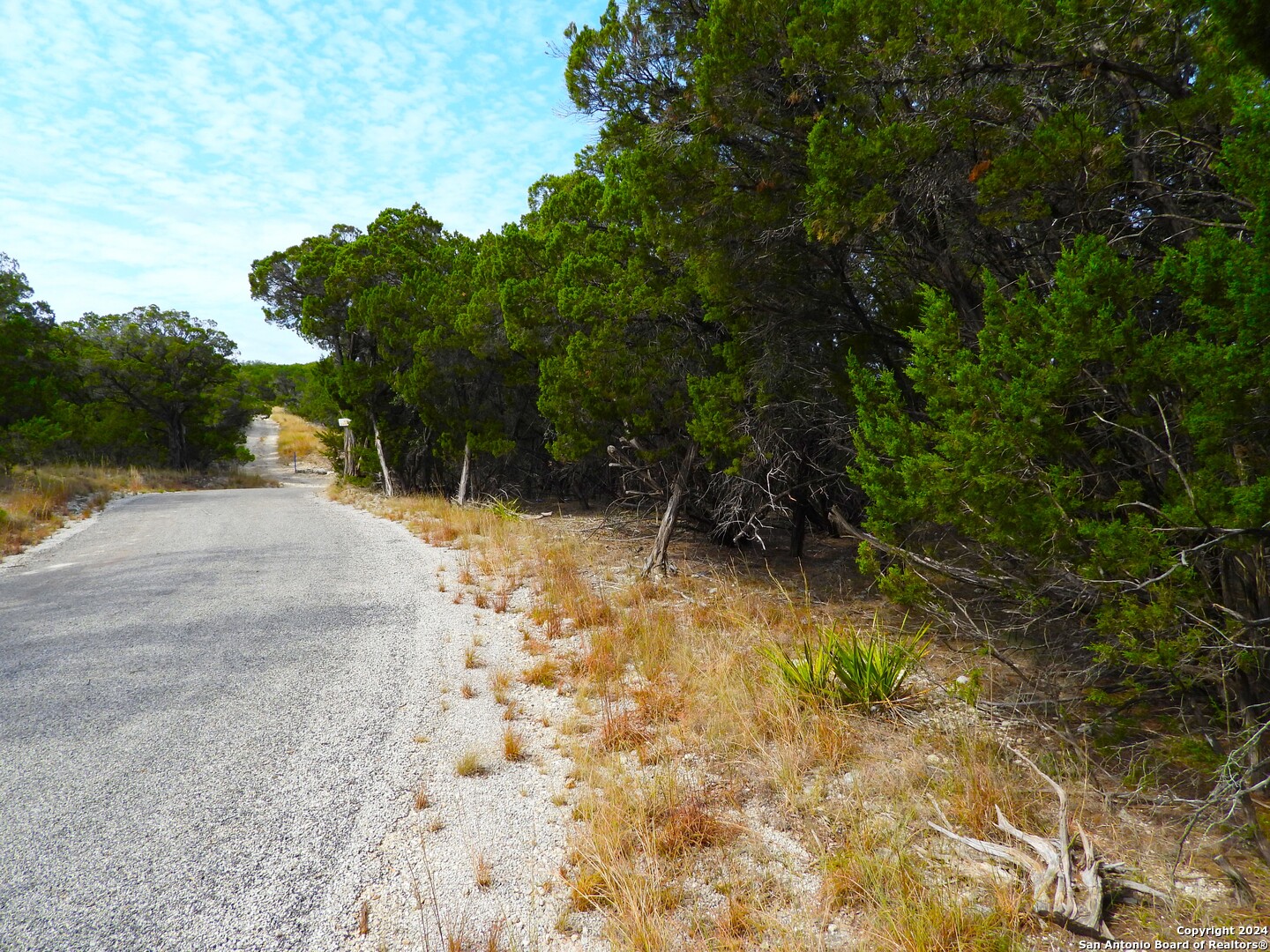 Tbd Simmons Road Lakehills, TX 78063 - Photo 17 of 22 a view of a yard with trees