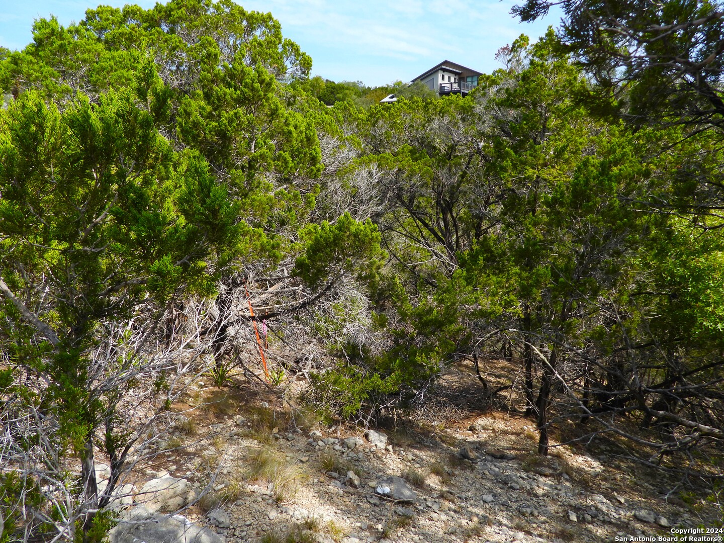Tbd Simmons Road Lakehills, TX 78063 - Photo 18 of 22 a view of a yard with a tree