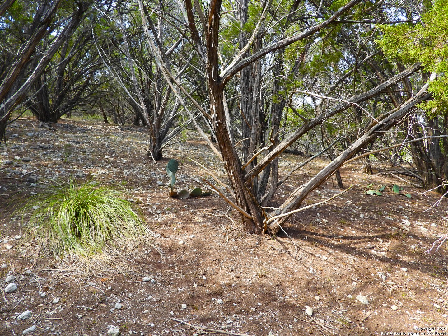 Tbd Simmons Road Lakehills, TX 78063 - Photo 21 of 22 a view of outdoor space and a yard