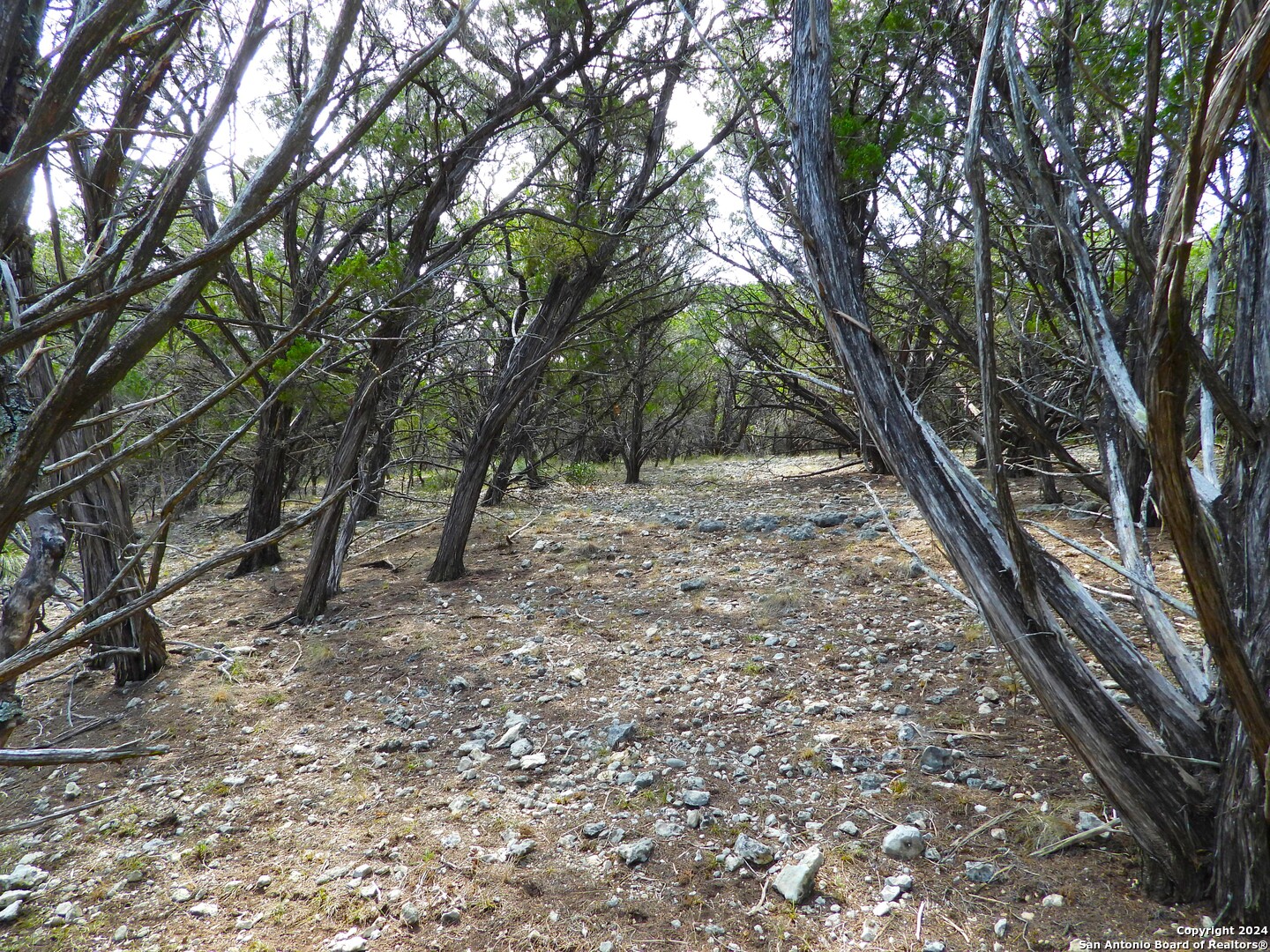 Tbd Simmons Road Lakehills, TX 78063 - Photo 22 of 22 a view of a backyard with large trees