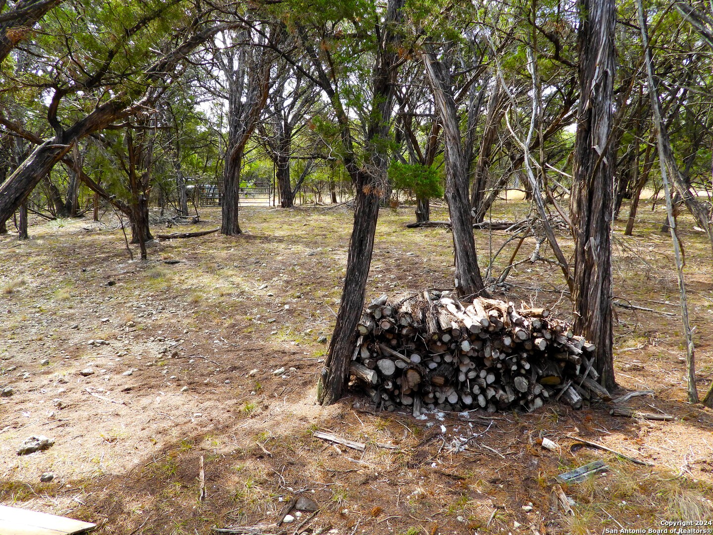 Tbd Simmons Road Lakehills, TX 78063 - Photo 5 of 22 a view of a tree in front of a yard
