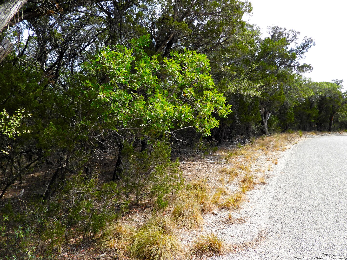 Tbd Simmons Road Lakehills, TX 78063 - Photo 9 of 22 a view of a yard with plants