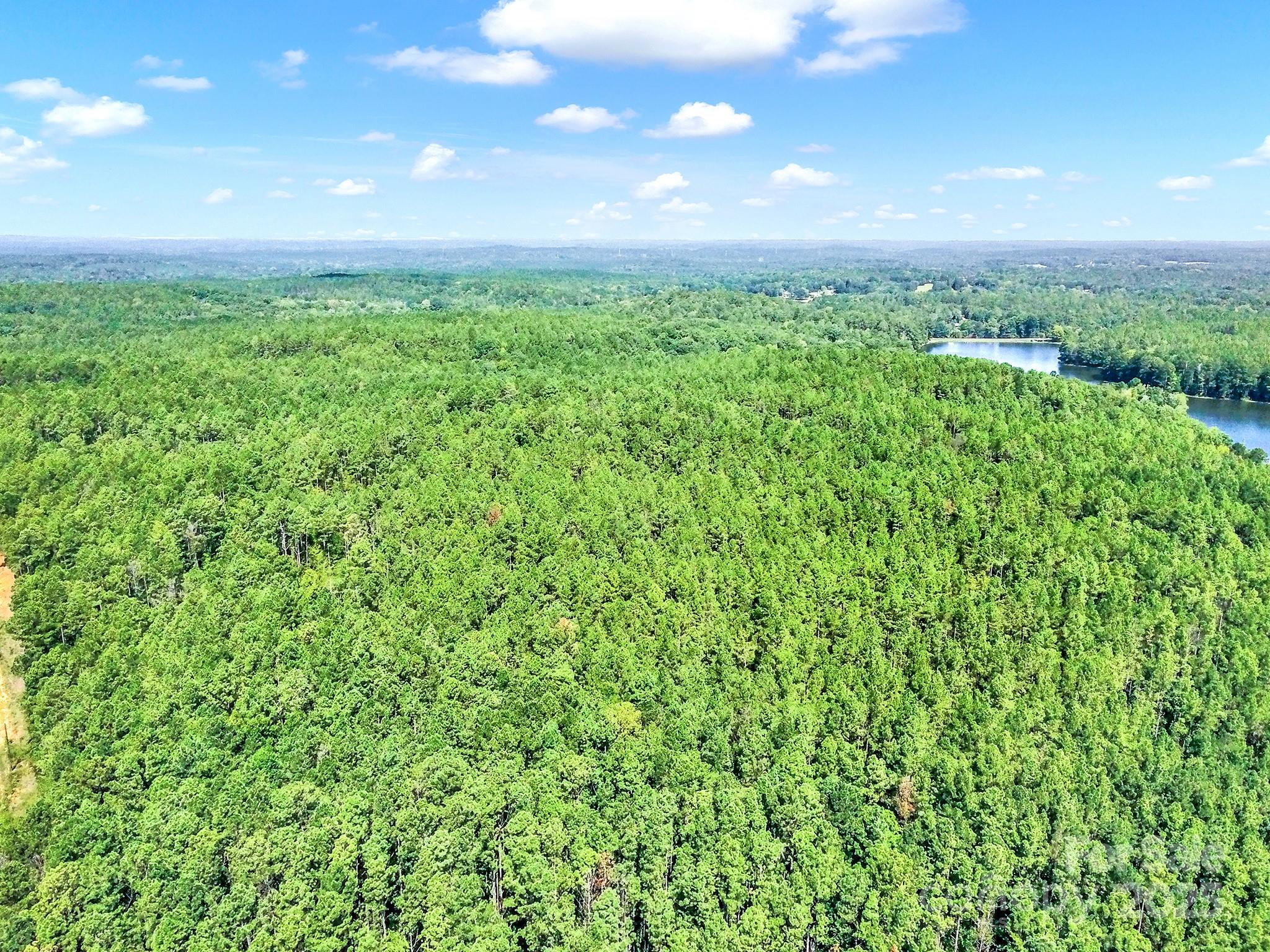 Lot #1 Goings Road, Unit 1 Chester, SC 29706 - Photo 5 of 14 a view of yard with green space