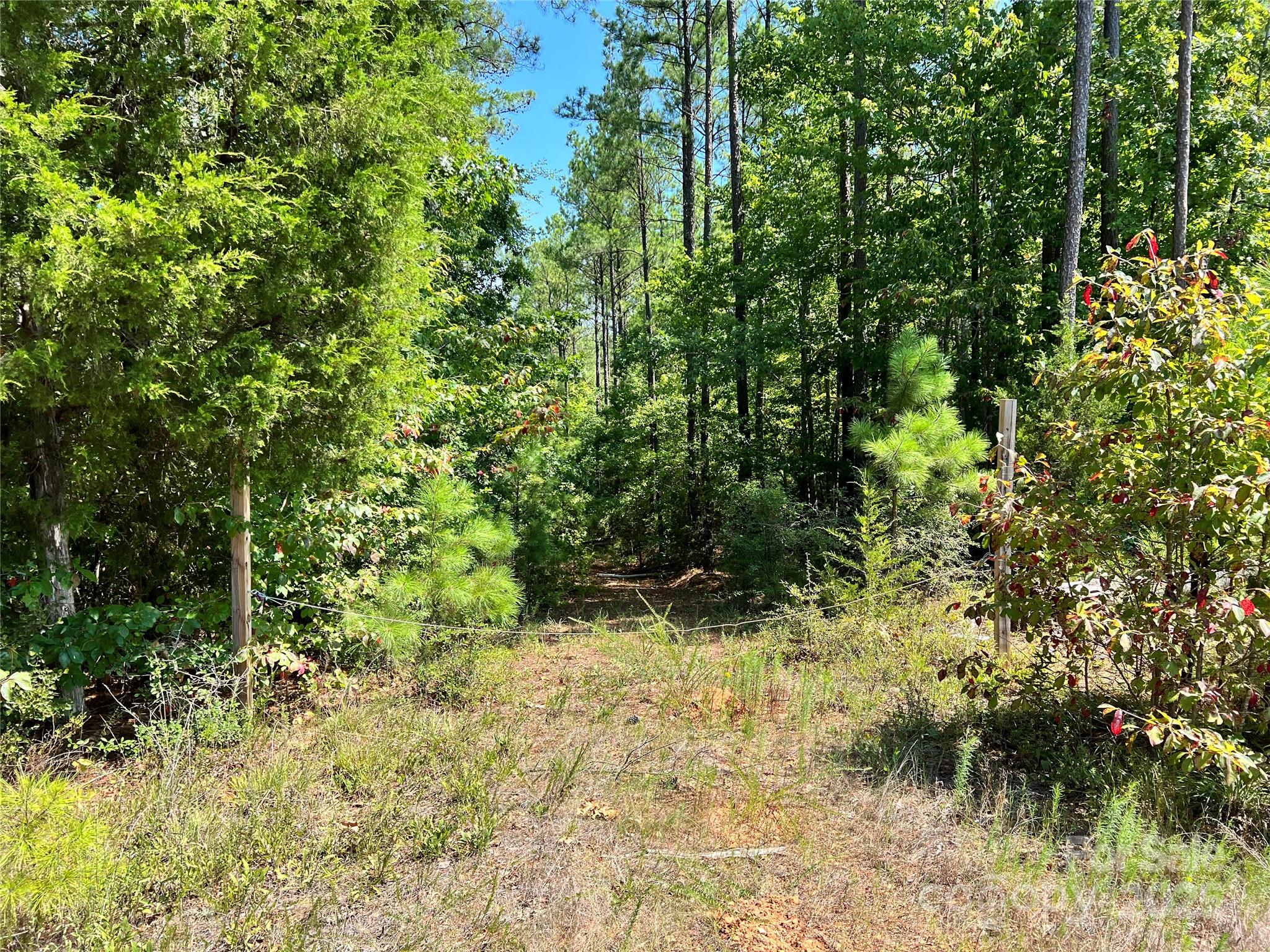 Lot #1 Goings Road, Unit 1 Chester, SC 29706 - Photo 7 of 14 a view of a yard with plants and large trees