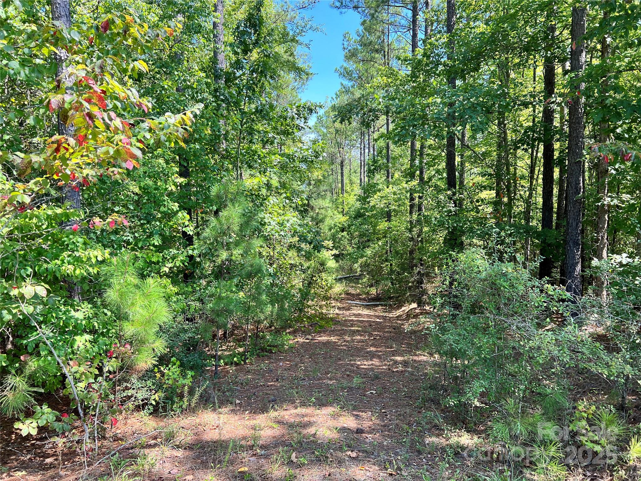 Lot #1 Goings Road, Unit 1 Chester, SC 29706 - Photo 8 of 14 a view of a large yard with lots of green space