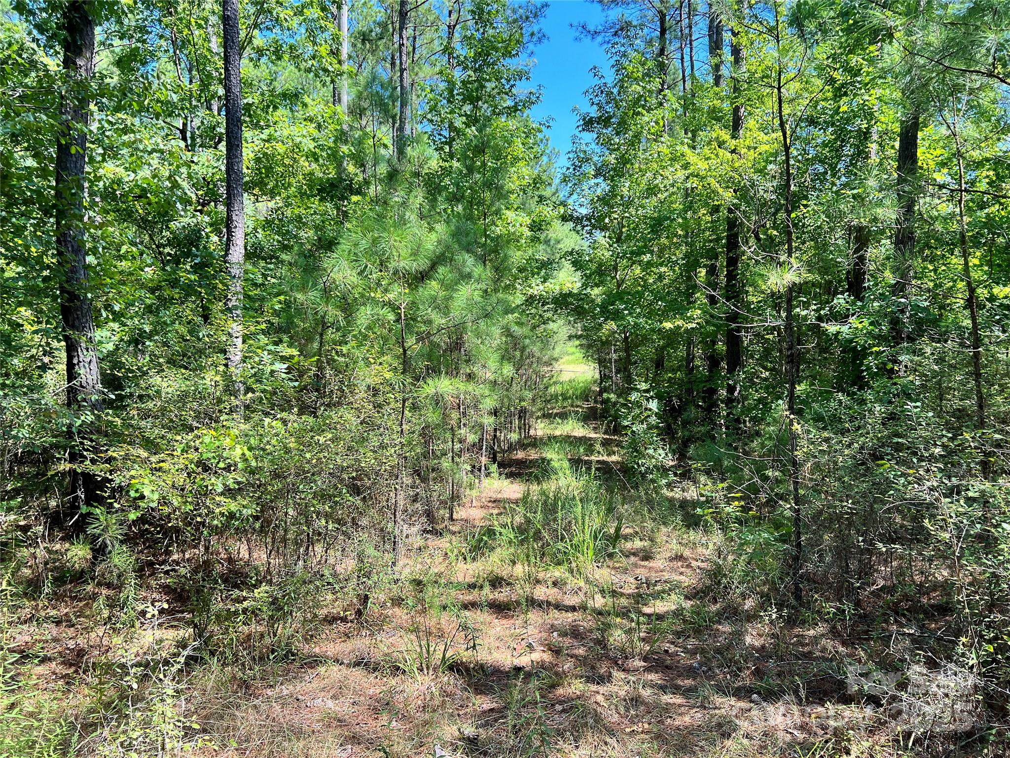 Lot #1 Goings Road, Unit 1 Chester, SC 29706 - Photo 9 of 14 a view of a yard