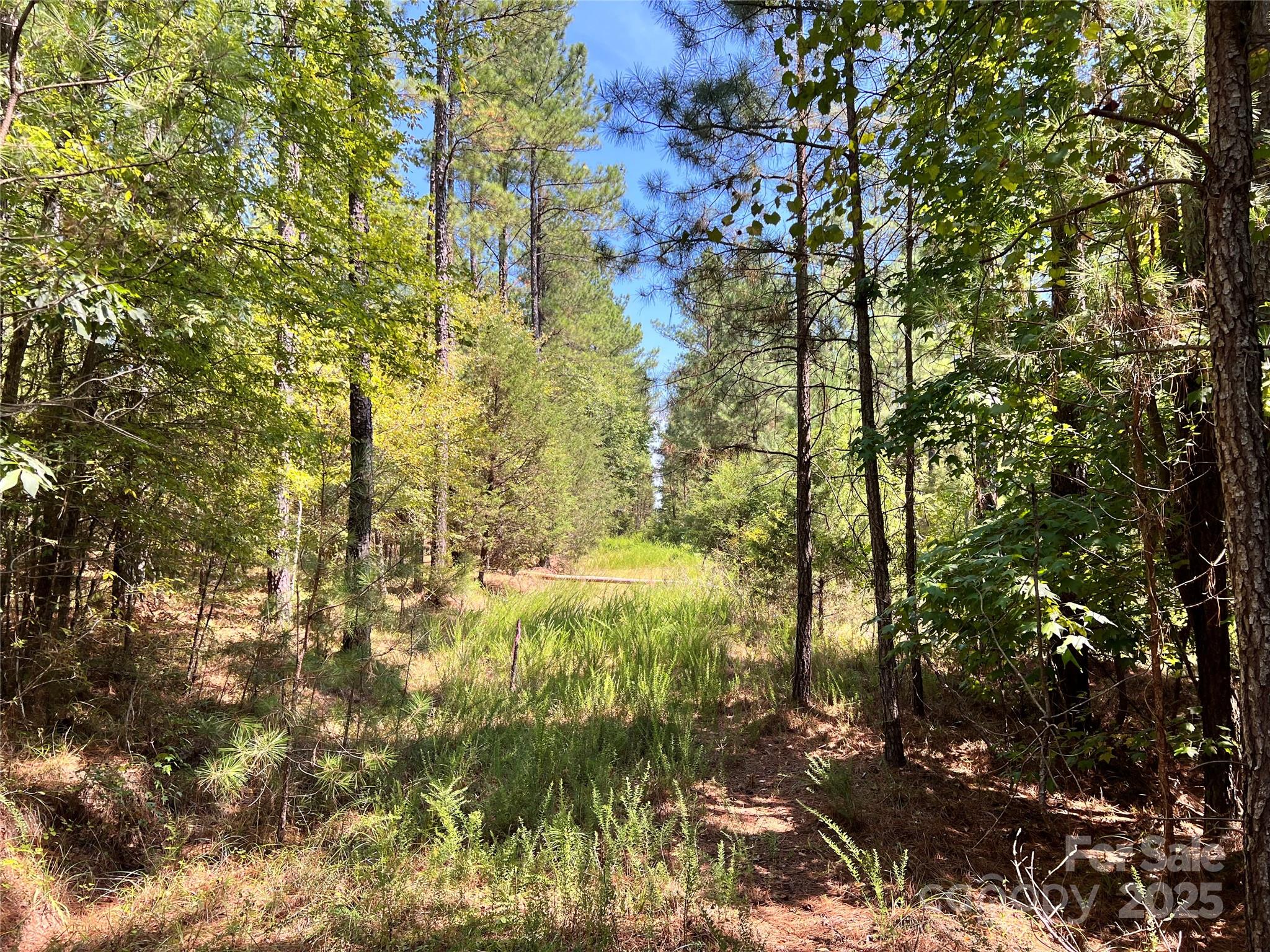 Lot #1 Goings Road, Unit 1 Chester, SC 29706 - Photo 10 of 14 a view of residential area with yard