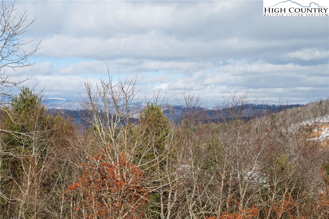 500 White Laurel Lane Boone, NC 28607 - Photo 37 of 41