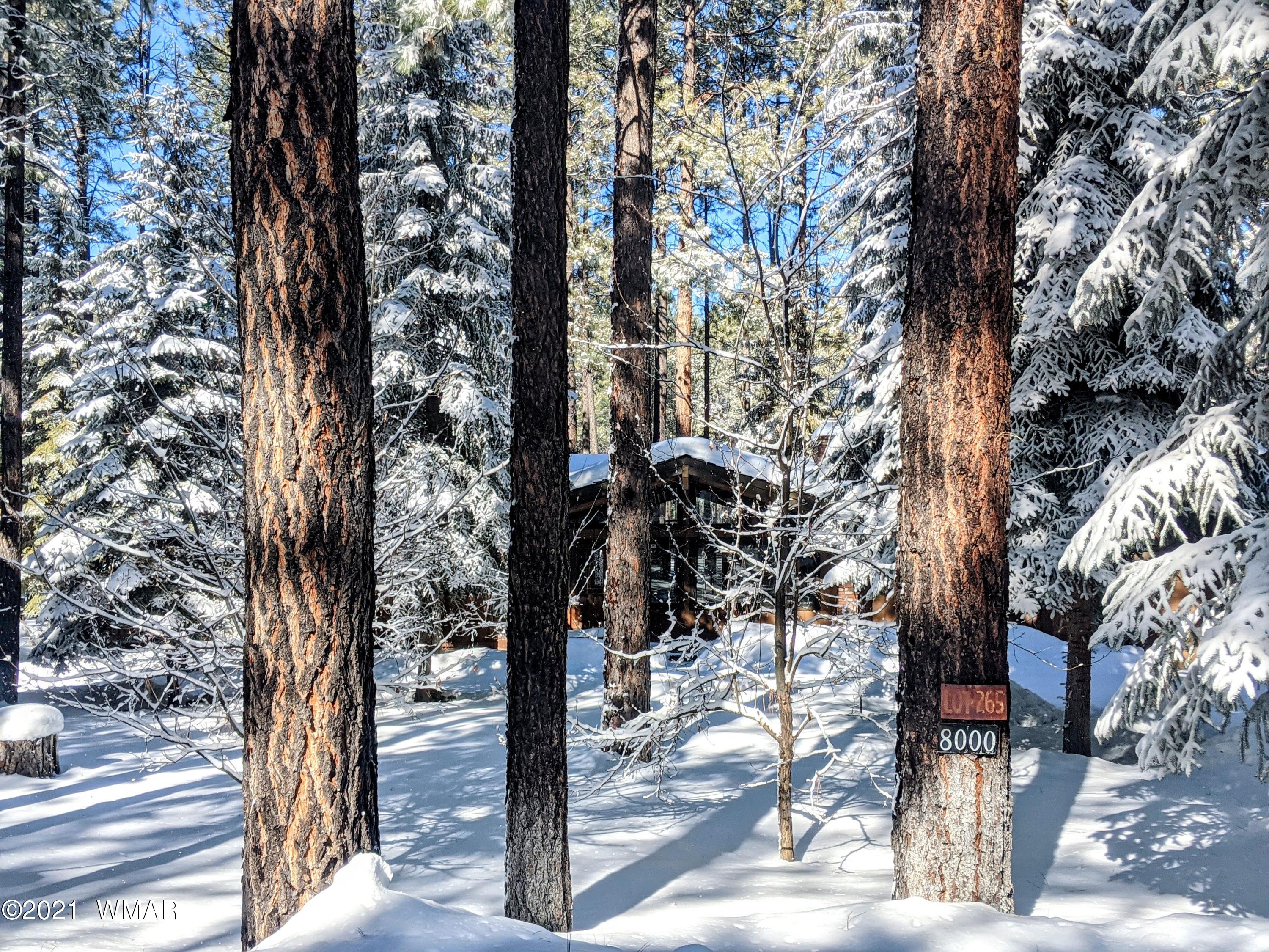 8000 Indian Bend Road Pinetop, AZ 85935 - Photo 43 of 71 Gallery Image 43