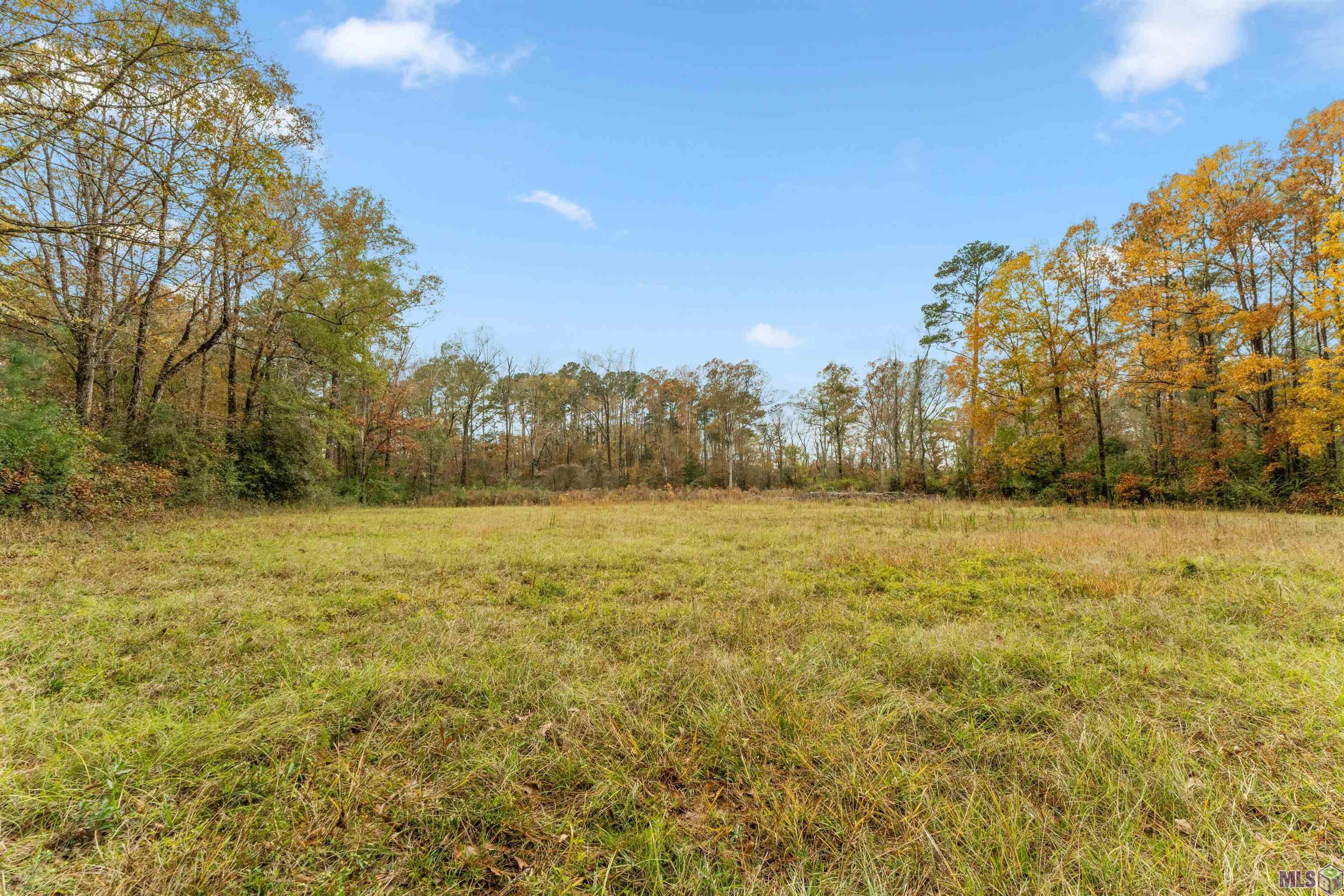 5498 Old Liberty Road North Clinton, LA 70722 - Photo 11 of 21