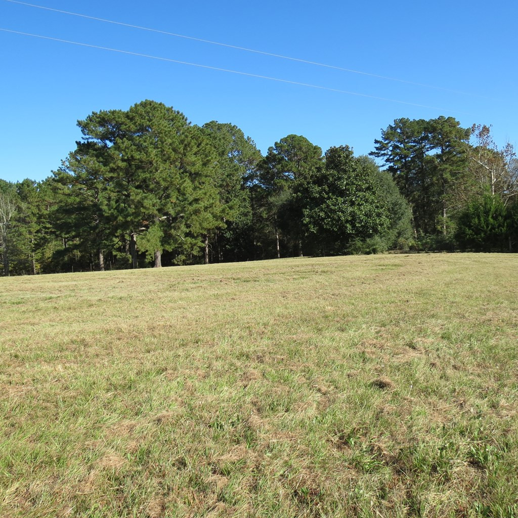 2554 Union Road Southeast Brookhaven, MS 39601 - Photo 30 of 43 Photo 30