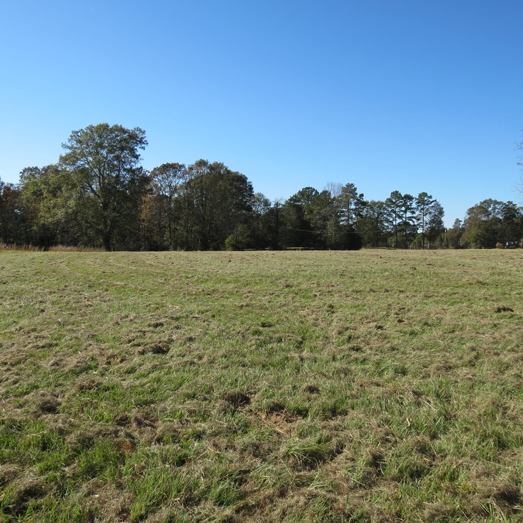 2554 Union Road Southeast Brookhaven, MS 39601 - Photo 31 of 43 Photo 31