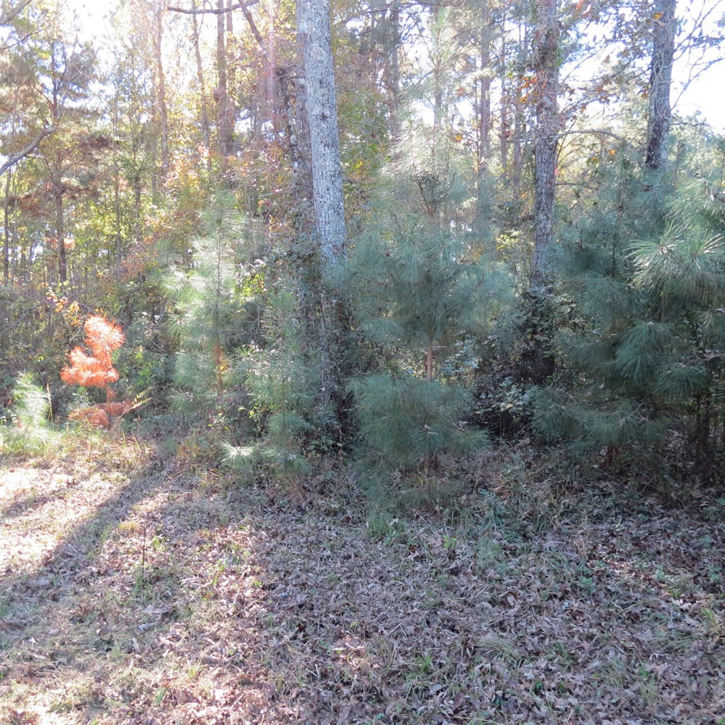 2554 Union Road Southeast Brookhaven, MS 39601 - Photo 34 of 43 Photo 34