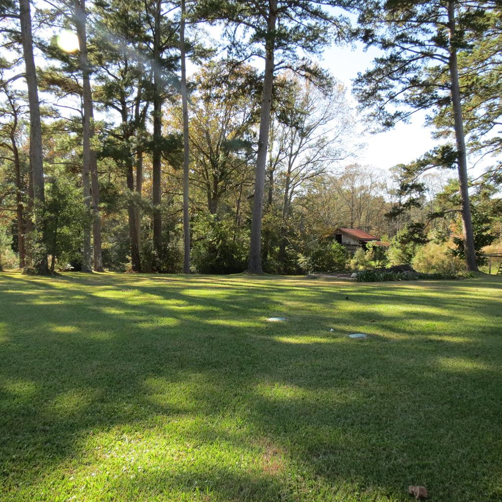 2554 Union Road Southeast Brookhaven, MS 39601 - Photo 37 of 43 Photo 37