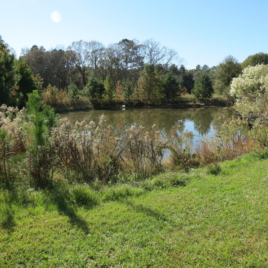 2554 Union Road Southeast Brookhaven, MS 39601 - Photo 41 of 43 Photo 41