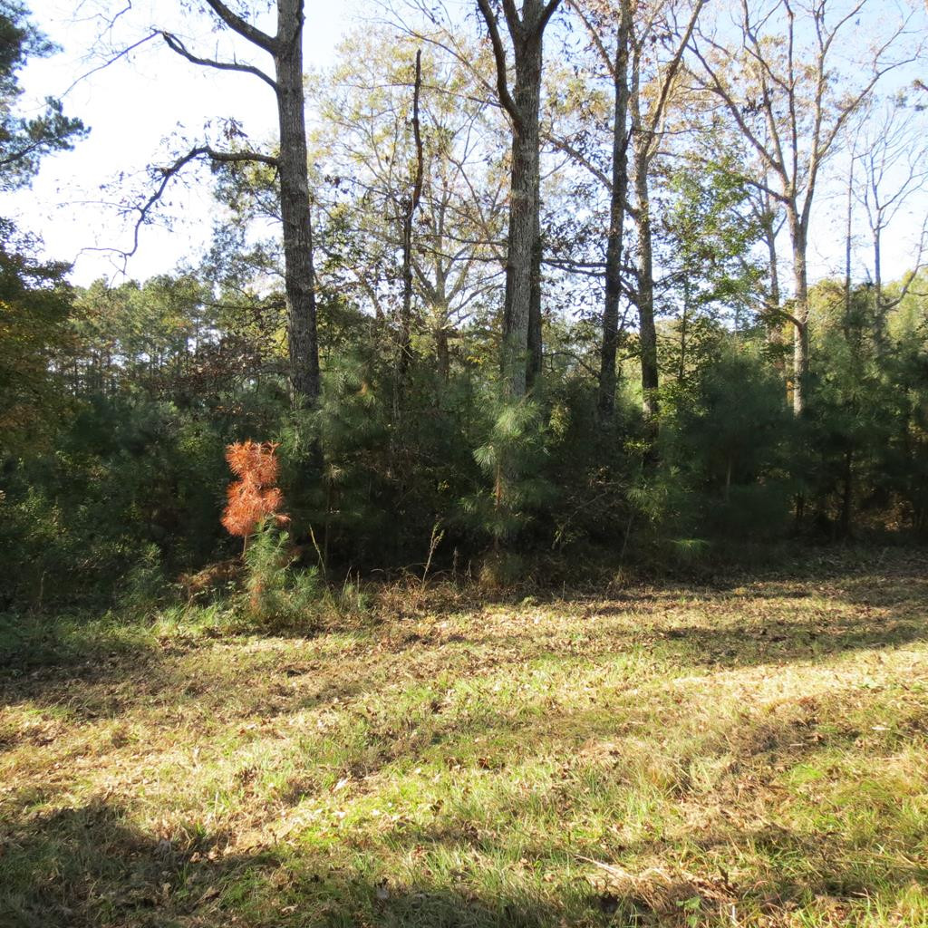 2554 Union Road Southeast Brookhaven, MS 39601 - Photo 43 of 43 Photo 43
