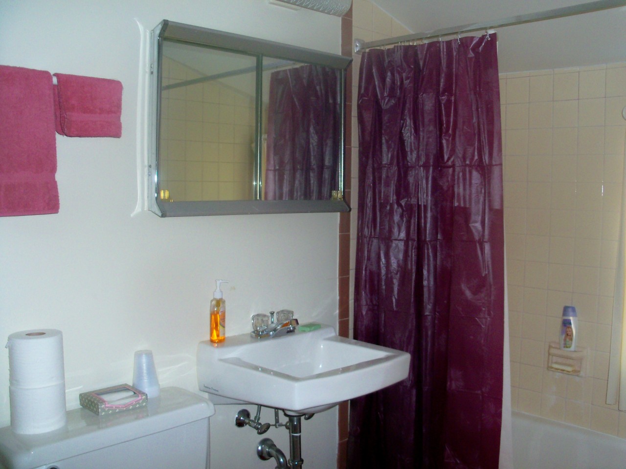 7 Bushey Road Pittsfield, MA 01201 - Photo 14 of 20 bath
