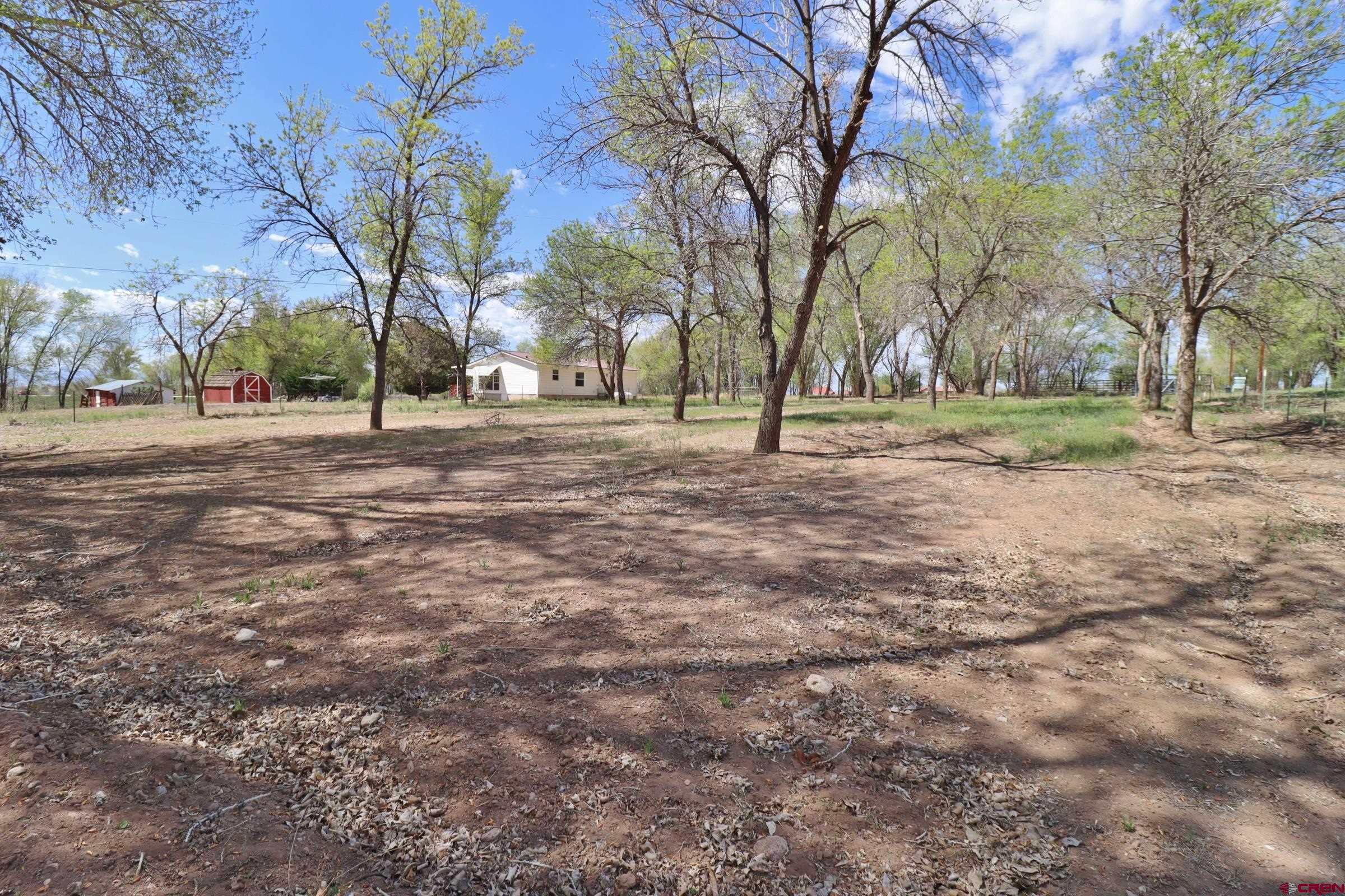 21274 Knight Road Austin, CO 81410 - Photo 33 of 35 a view of a yard with a tree