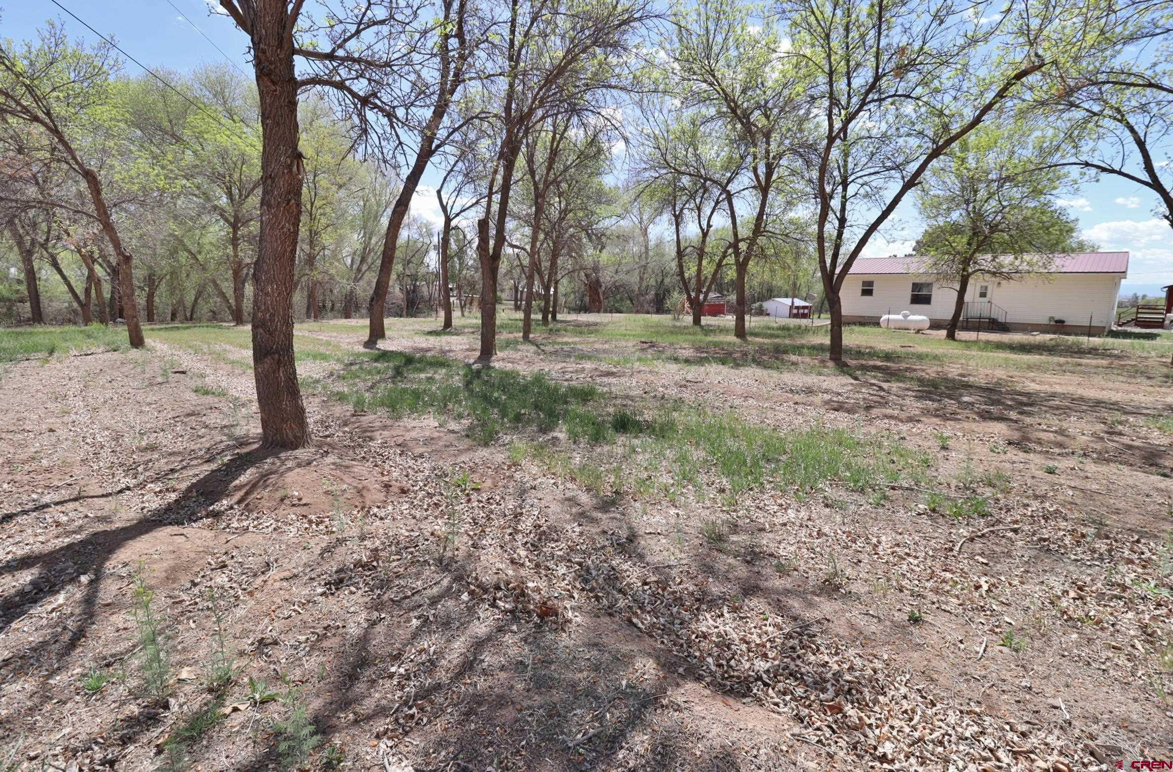 21274 Knight Road Austin, CO 81410 - Photo 34 of 35 a view of empty space with trees