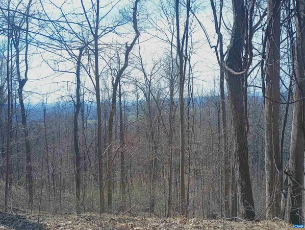 $270,000 | 1215 Battery Hill Lane, Tyro, VA 22976