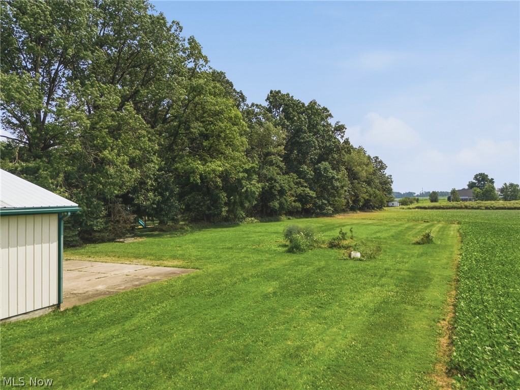 6828 Angling Road Wooster, OH 44691 - Photo 39 of 43 Expansive green lawn bordering a field, featuring a white structure with a green metal roof and gutters, mature trees, and a concrete pad