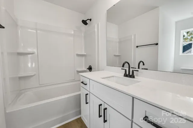 a bathroom with a sink double vanity and a bathtub