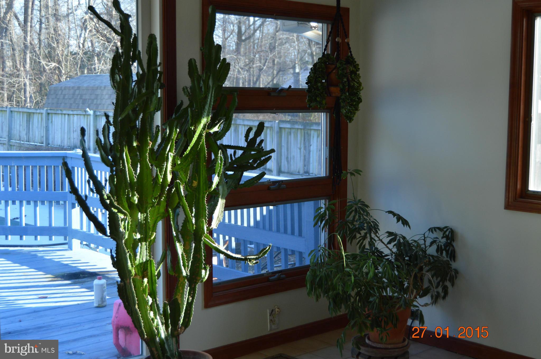 112 River Road Edgewater, MD 21037 - Photo 5 of 22 Family Room