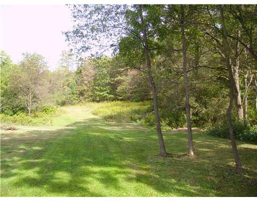 421 Monroe Road Sarver, PA 16055 - Photo 12 of 13 Land/Lot.