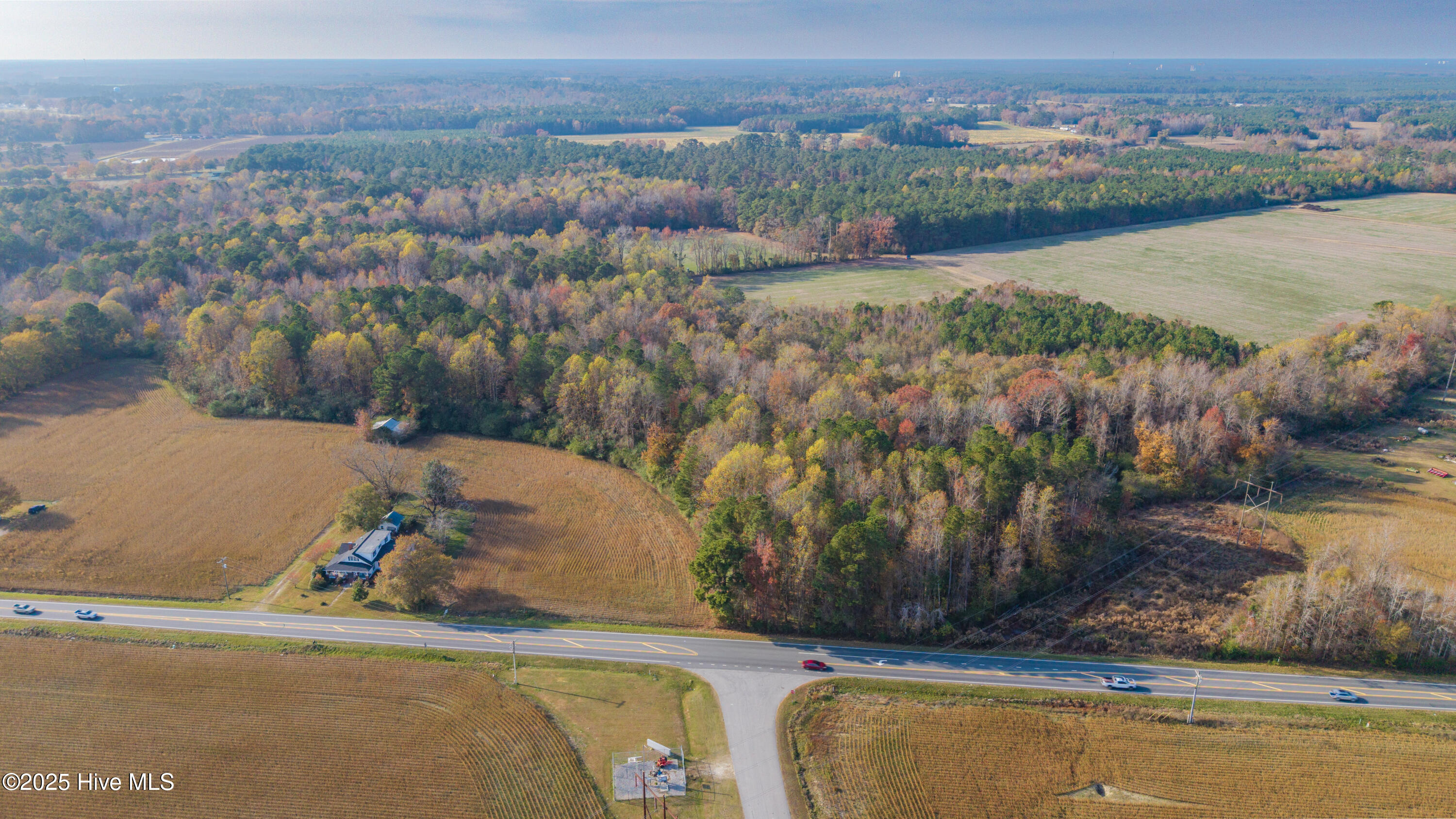 41.5-acres High School Road Teachey, NC 28464 - Photo 6 of 27 2