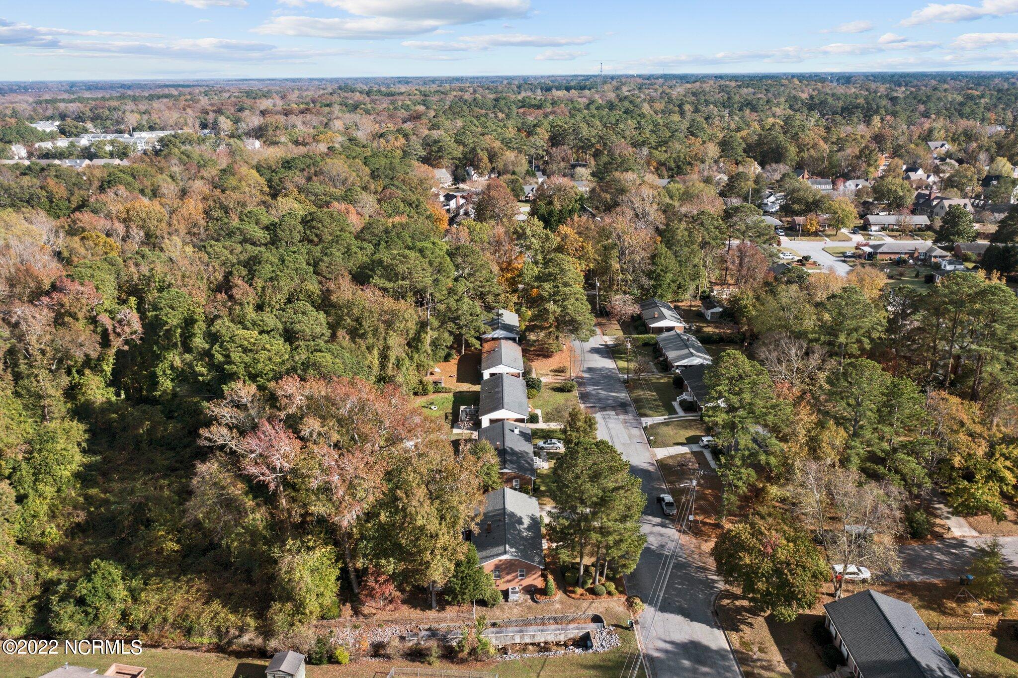 201 Kent Road Greenville, NC 27858 - Photo 17 of 42 17-web-or-mls-DJI_0244