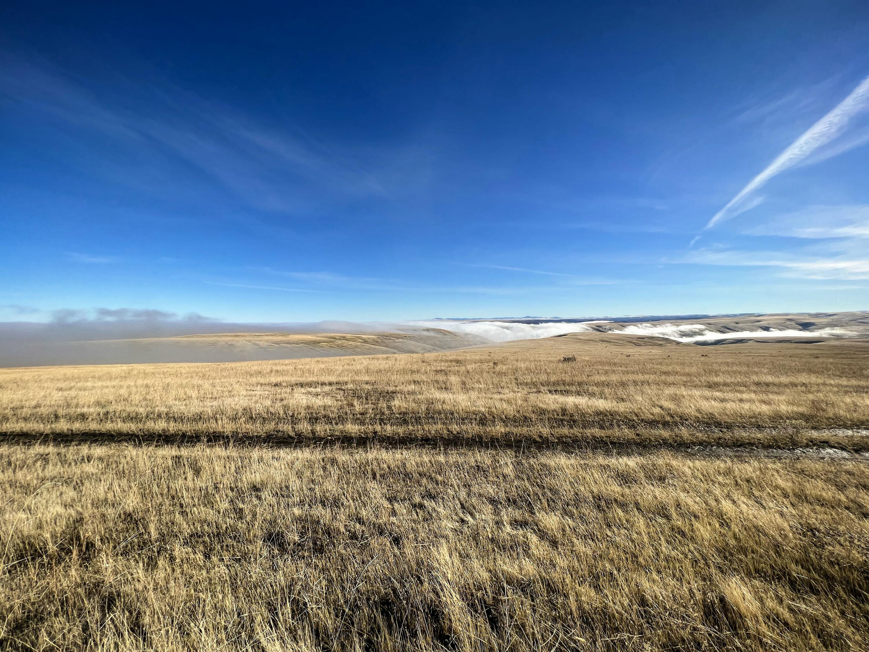 21064 Edwards Road Condon, OR 97823 - Photo 10 of 14 tempImage1g2CZA