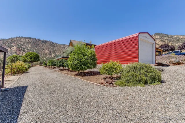 a view of a house with a yard and plant