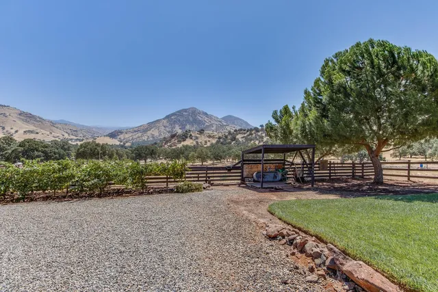 a view of a yard with wooden fence
