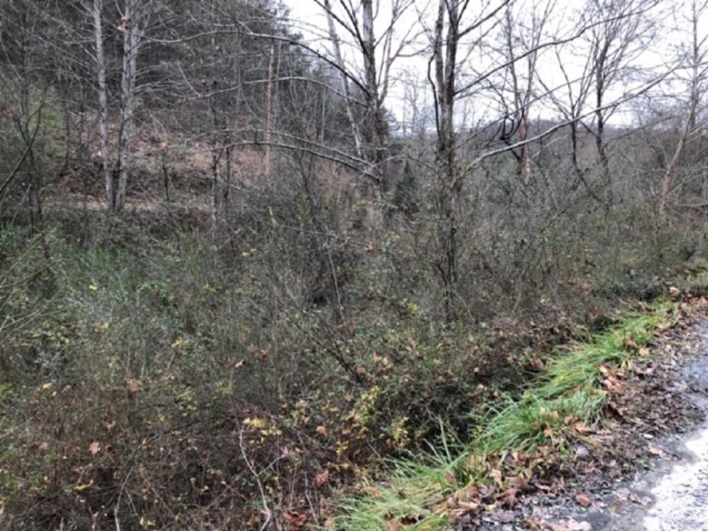 Tbd Tbd Sharrett Road Bristol, VA 24202 - Photo 2 of 7 Photo 2