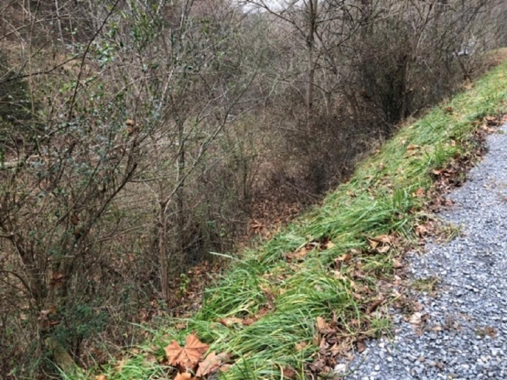 Tbd Tbd Sharrett Road Bristol, VA 24202 - Photo 3 of 7 Photo 3