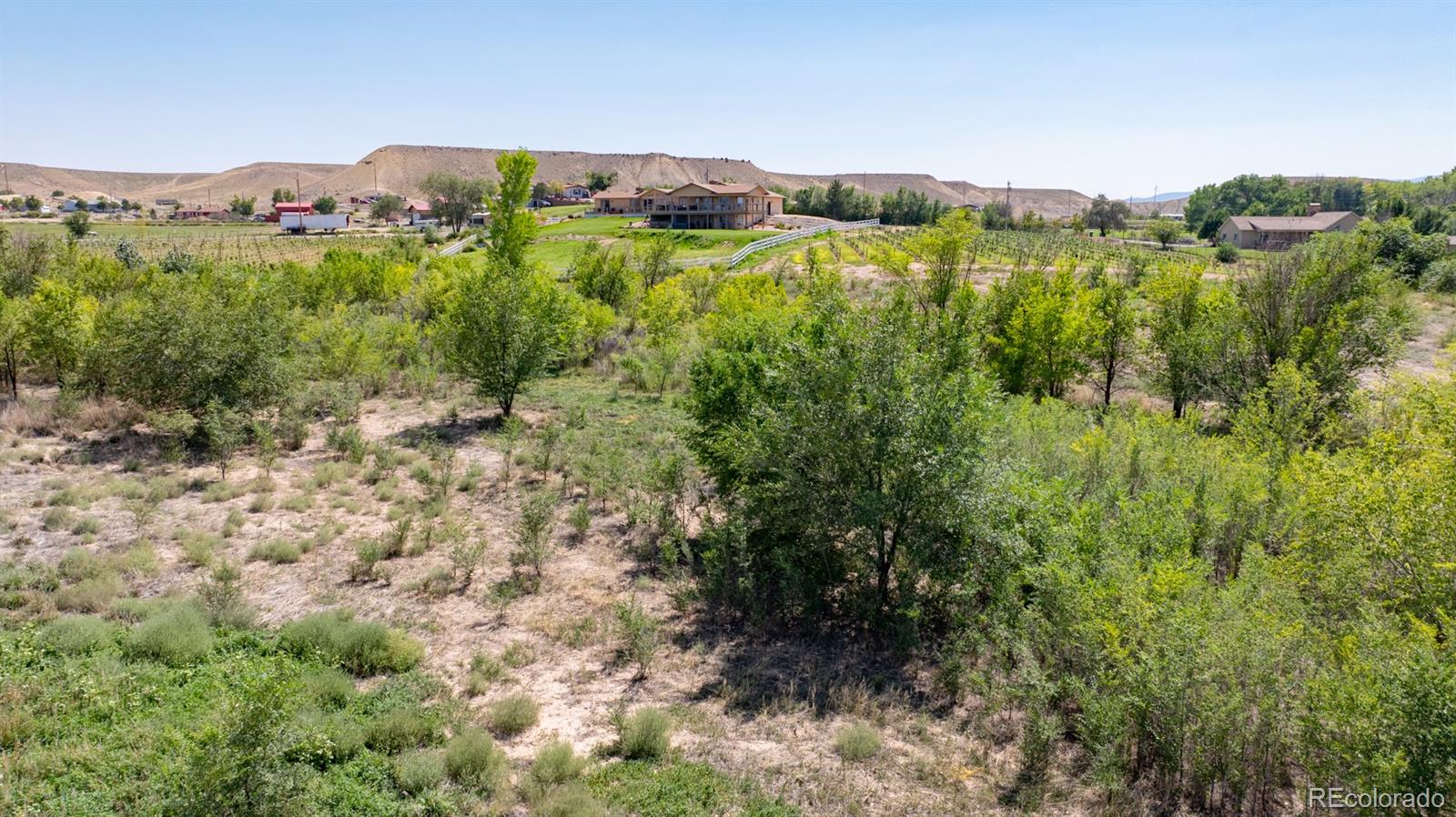 267 33 Road Palisade, CO 81526 - Photo 11 of 43 a view of a lush green forest with houses