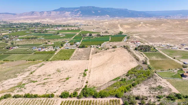 $1,500,000 | 267 33 Road, Palisade, CO 81526